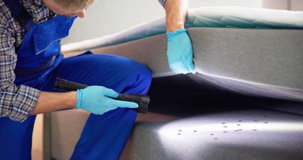 Best Pest Prevention Services  in Arapahoe, NE