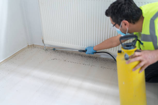 Reliable Arapahoe, NE Pest Control Solutions